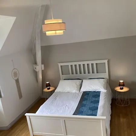 Maison Renovee Au Bord Du Lac, Jardin Privatif, Wifi, Activites Nautiques Et Touristiques A Proximite - Fr-1-742-125 *